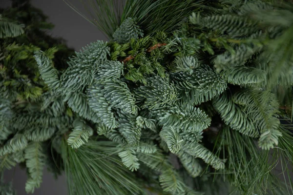 Zweige eines Weihnachtsbaums auf grauem Hintergrund — Stockfoto