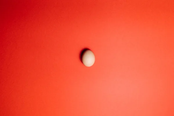 Fresh egg on a Red background. Happy Easter — 스톡 사진