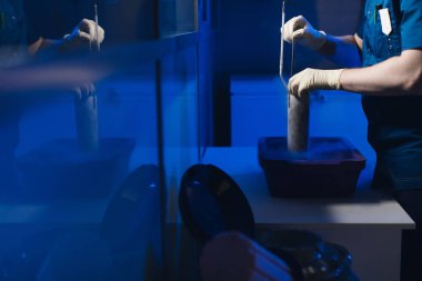 Uzman Embriyocu, Cryobank 'ten Embriyolarla birlikte bir kapsül alıyor.