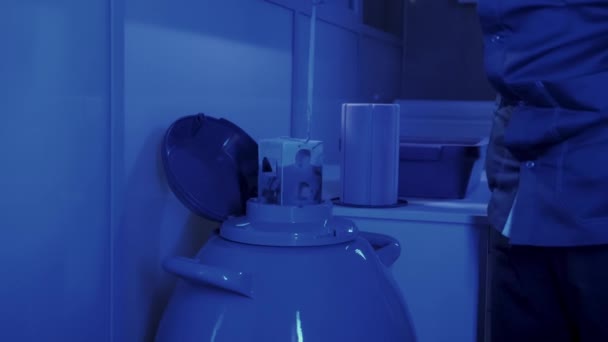 Embryologue spécialiste prend une capsule avec des embryons de la Cryobank — Video