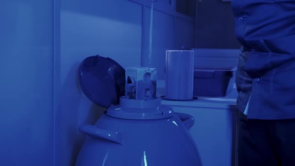 Specialista Embryologist prende una capsula con Embryos dalla Cryobank — Video Stock