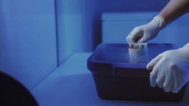 Embriólogo especialista toma una cápsula con embriones del Cryobank — Vídeo de stock