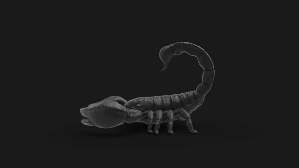 3D-återgivning av en skorpion isolerad i en studio färgad bakgrund — Stockfoto