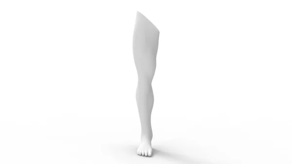 3d rendering of a human leg isolated in studio background — 스톡 사진