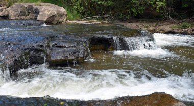 Brezilya 'nın güneyinde akan vahşi nehir.