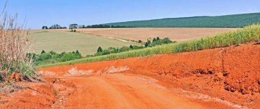 Brezilya 'nın güneyinden alınan yol ve kırmızı toprak manzarası