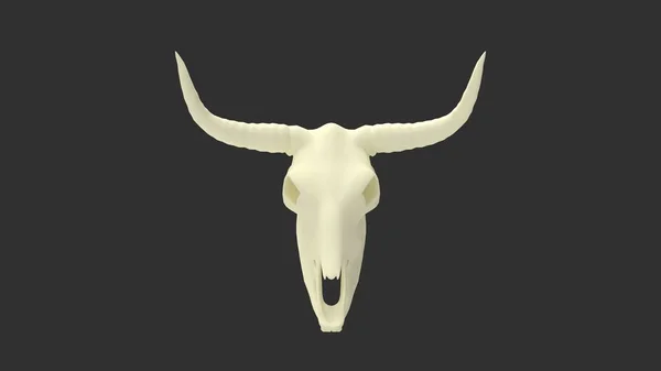 用黑色背景隔离的奶牛头骨3D绘制 — 图库照片