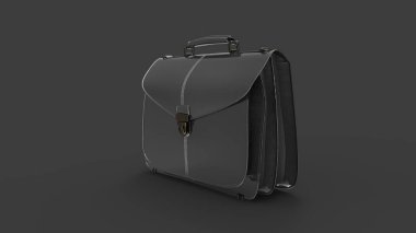 Stüdyonun arka planında izole edilmiş deri bir bavul.