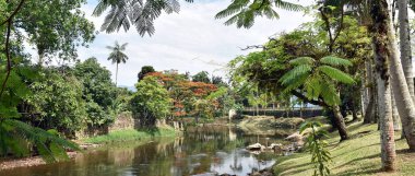 Nehir Morretes Brasil 'de güneşli bir sahnede