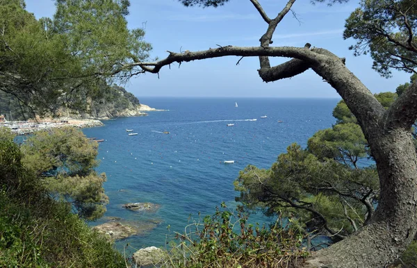 Imagem ensolarada do oceano costa espanhola e falésias na natureza . — Fotografia de Stock