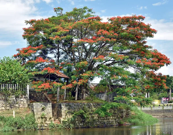 日当たりの良いシーンでMorreetsブラジルの川 — ストック写真