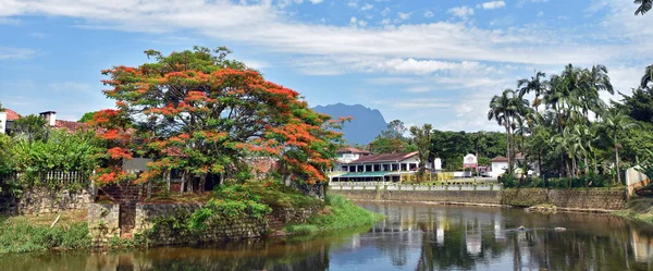 River in Morretes Brasil in a sunny scene — 스톡 사진