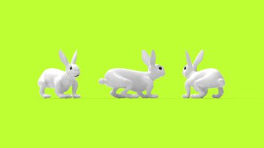 Boş arkaplanda izole edilmiş bir tavşanın 3D görüntüsü