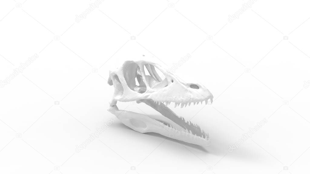 3D rendering of a animal predator skull isolated on white background
