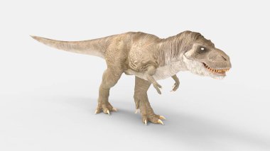 Beyaz arkaplanda izole edilmiş bir T-Rex dinozorunun 3 boyutlu görüntülenmesi