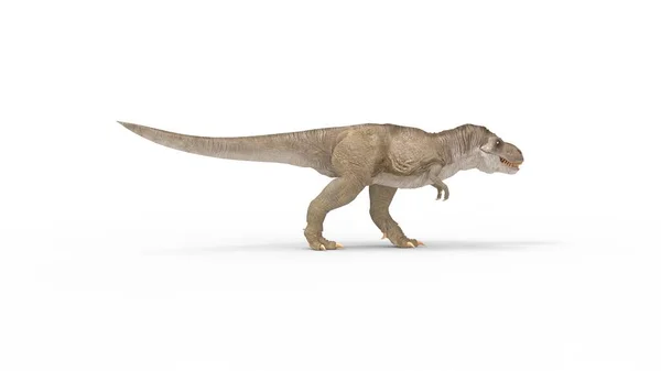 3D weergave van een T rex dinosaurus geïsoleerd op witte achtergrond — Stockfoto