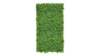 Bir çalılığın 3 boyutlu görüntüsü yeşil çiçek rendelendirme doğa izole bırakır