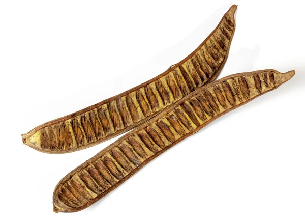 Two Separated  Halves of Empty Seed Pods — Stock Photo, Image