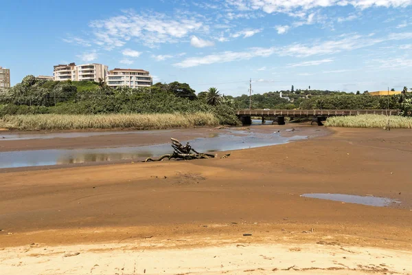 Bûche de bois à la dérive au lagon contre les bâtiments résidentiels — Photo