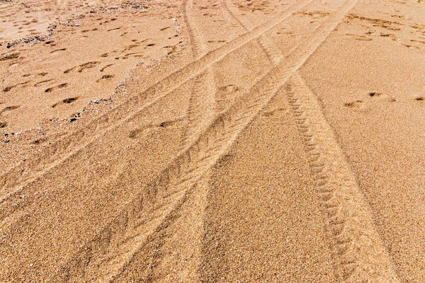 Tracks de pneus de veículos cruzando sobre padrões de saída na praia — Fotografia de Stock