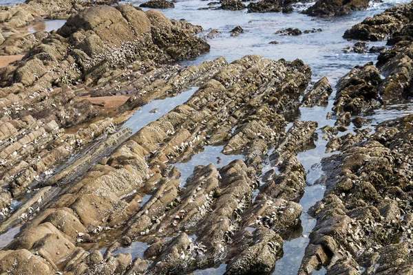 パターン、テクスチャ、および海岸線の岩に水 — ストック写真