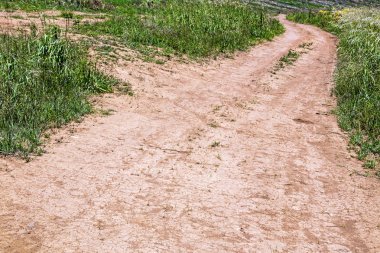 Yeşil bitki örtüsü ile kırsal toprak yol Track 