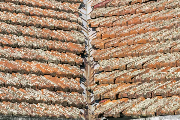 Lišejník zahrnuty hliněné střešní tašky a zrezivělé údolí železo — Stock fotografie