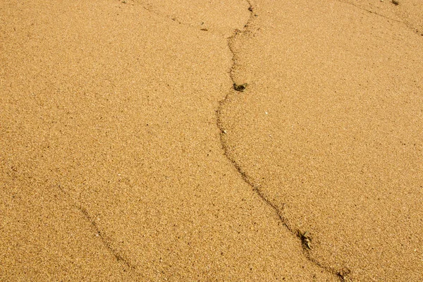 Goldene Muster Körnung und Textur des Meersandes — Stockfoto