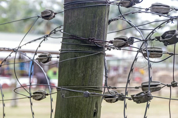 Verwarde prikkeldraad verbindingen op Vintage houten paal — Stockfoto