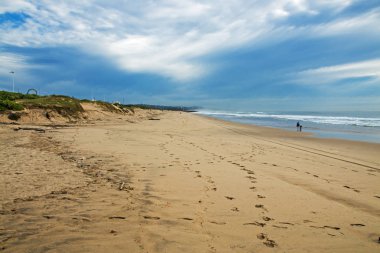 Sandy Beach Shoreline ve Vegetated Dunes mavi Skyline karşı
