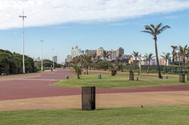  Promenade çim ve palmiye ağaçları Cgainst şehir manzarası