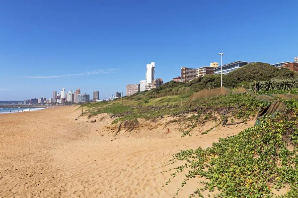 Bitki örtüsü plaj ve okyanus mavi gökyüzü şehir manzarası karşı — Stok fotoğraf