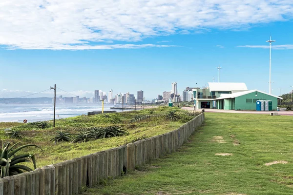 Groene Duin vegetatie en Aloe planten op strand duinen — Stockfoto