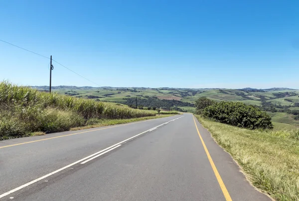 Camino de campo asfalto corriendo a través de campos de caña de azúcar — Foto de Stock