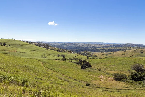 Campos de caña de azúcar y vivienda contra paisaje rural Skyline — Foto de Stock