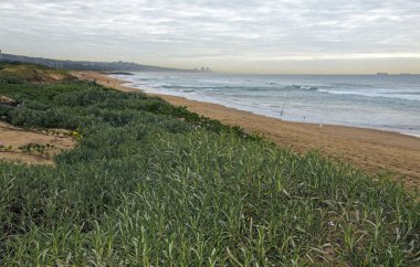 Bulutlu kıyı manzara üzerinde yeşil kumul bitki örtüsü 