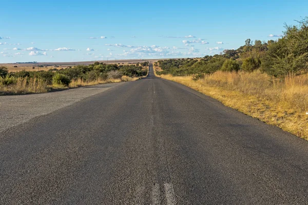 Boş kırsal asfalt yol kuru kış manzarası ile çalışan — Stok fotoğraf