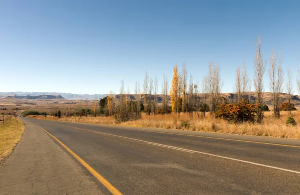 Güney Afric içinde Kuru kış manzarası ile çalışan asfalt yol — Stok fotoğraf