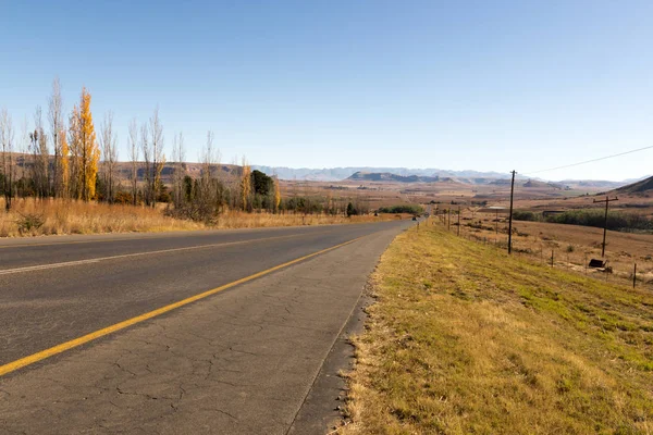 Güney Afric içinde Kuru kış manzarası ile çalışan asfalt yol — Stok fotoğraf