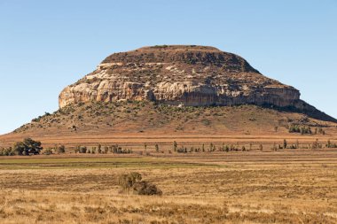 Kayalık dağ ve mavi gökyüzü karşı turuncu renkli çimen 