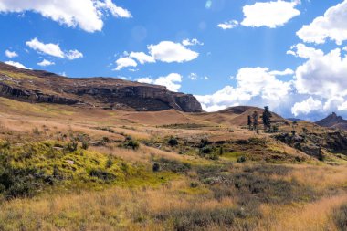 Altın soğuk kuru kış manzarası ve kayalık dağ