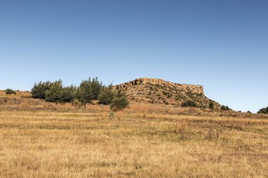 Altın soğuk kuru kış manzarası ve kayalık dağ
