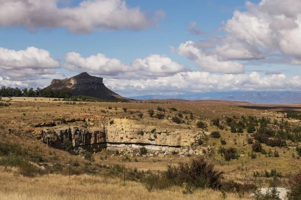 Orangefärgad gräs mot Rocky Mountain och blå himmel — Stockfoto