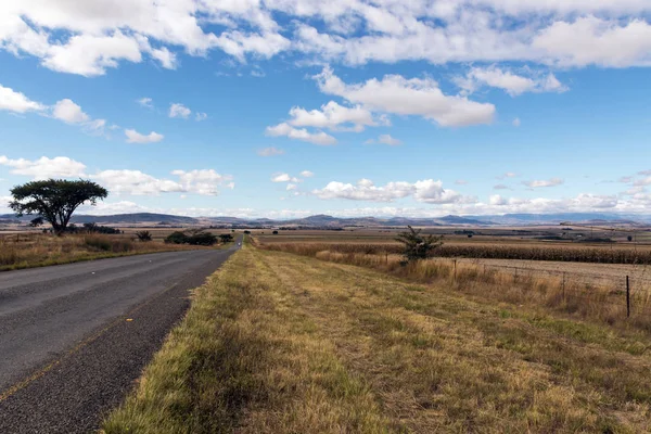 Asfalt Road Running Through Dry Orange Winter Mountain Landscap — Fotografie, imagine de stoc