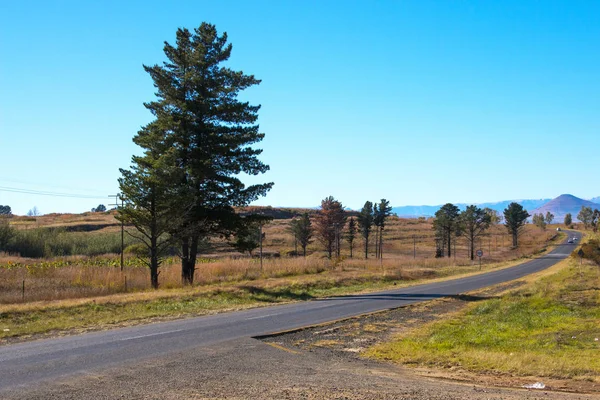 Asfalterad väg löper genom torr Orange Vinterberg Landscap — Stockfoto