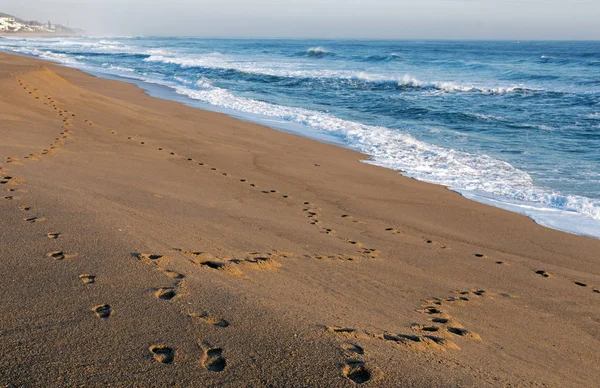 Sentiero dell'impronta su spiaggia di sabbia vuota paesaggio marino — Foto Stock