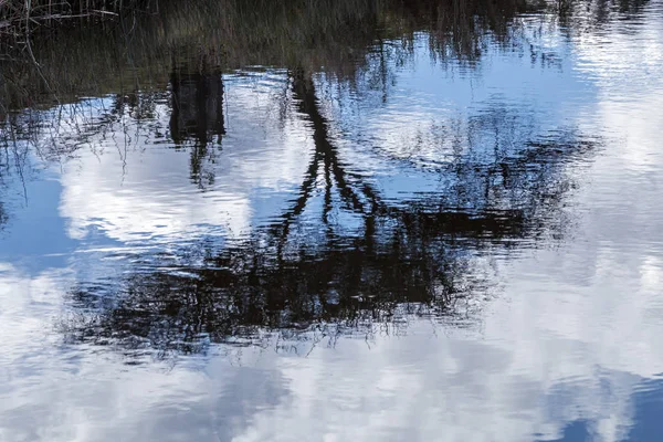 Árvore azul céu nublado reflexão abstrata fora da água da barragem — Fotografia de Stock