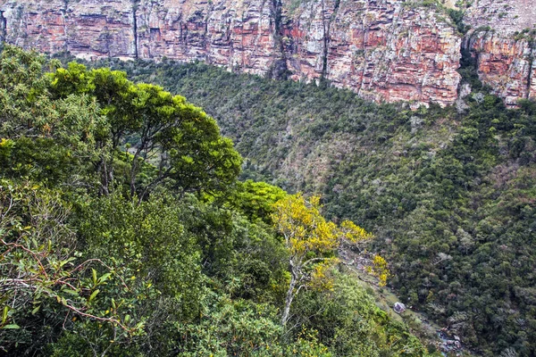 Gröna träd Gorge berg och dalar mot mulen himmel — Stockfoto