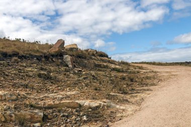 Toprak yol kış manzara karşı kuru ot aracılığıyla kavisli