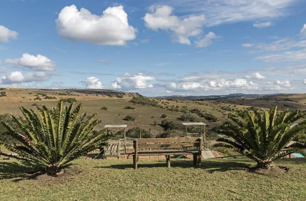 Bench Cycads Hills Valleys and Cloudy Blue Sky Landscape — Fotografie, imagine de stoc